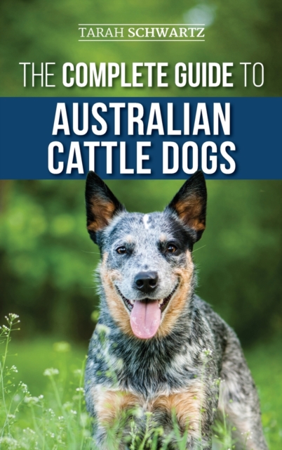 Complete Guide to Australian Cattle Dogs