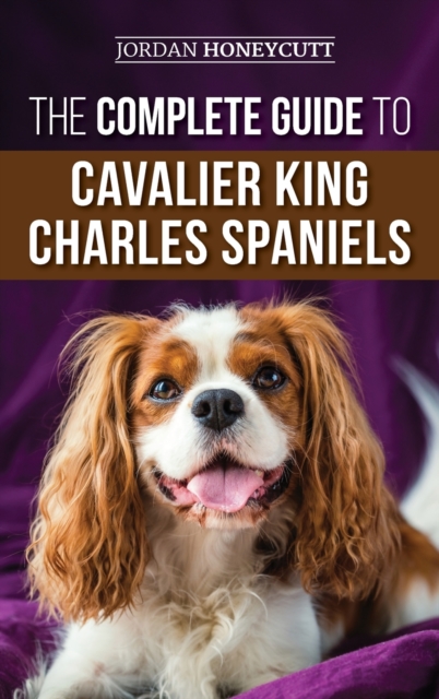 Complete Guide to Cavalier King Charles Spaniels