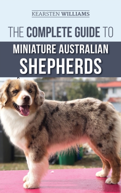 Complete Guide to Miniature Australian Shepherds