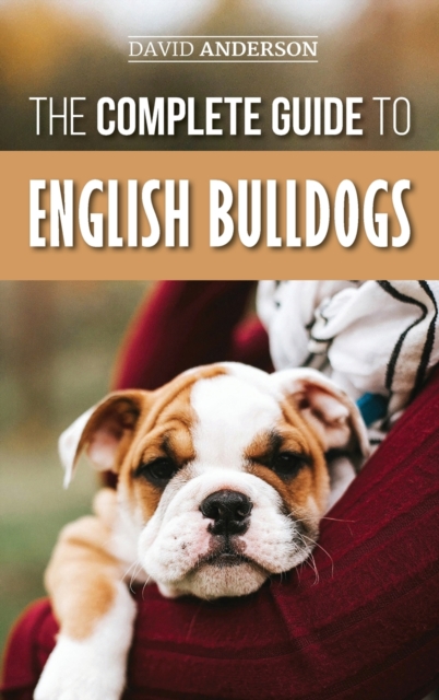 Complete Guide to English Bulldogs