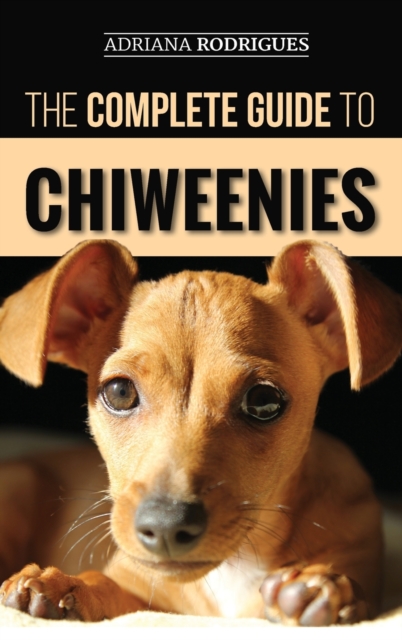 Complete Guide to Chiweenies
