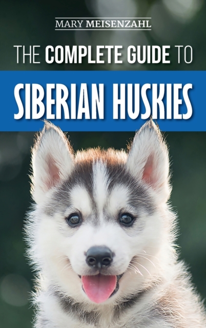 Complete Guide to Siberian Huskies