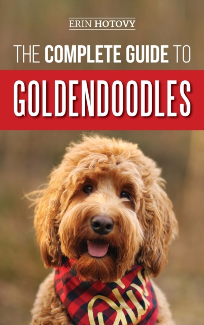 Complete Guide to Goldendoodles