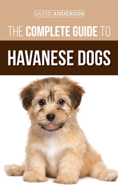 Complete Guide to Havanese Dogs