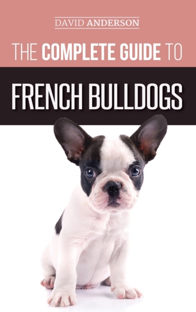 Complete Guide to French Bulldogs