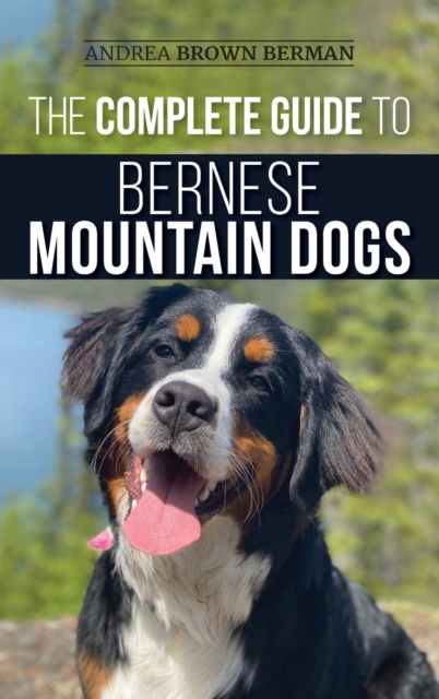 Complete Guide to Bernese Mountain Dogs