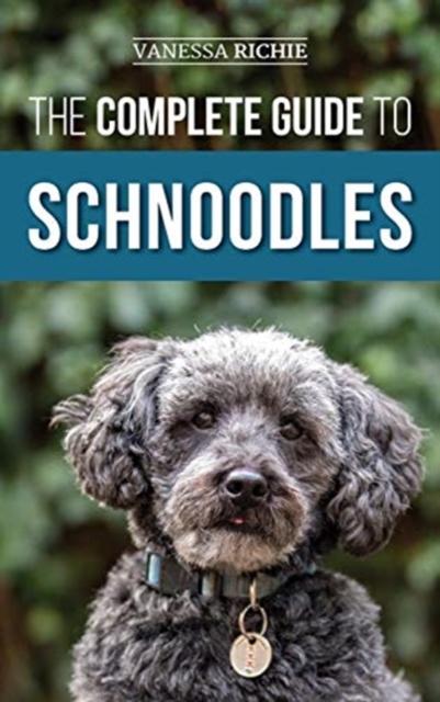 Complete Guide to Schnoodles