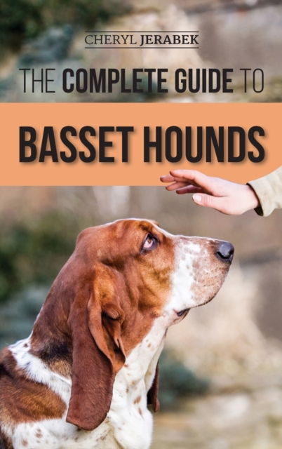 Complete Guide to Basset Hounds