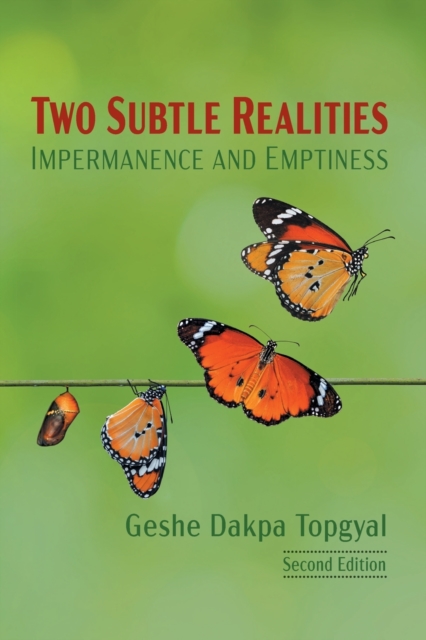 Two Subtle Realities