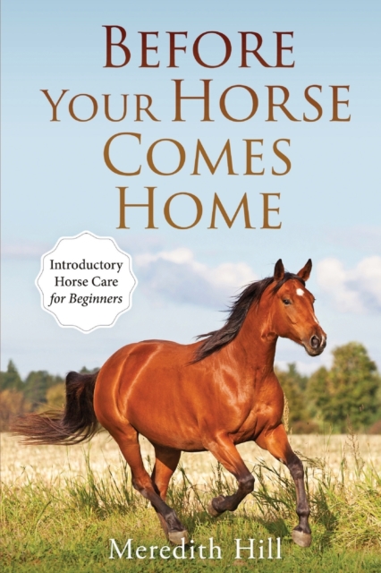 Before Your Horse Comes Home