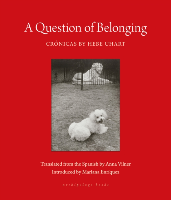 Question Of Belonging