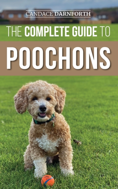 Complete Guide to Poochons
