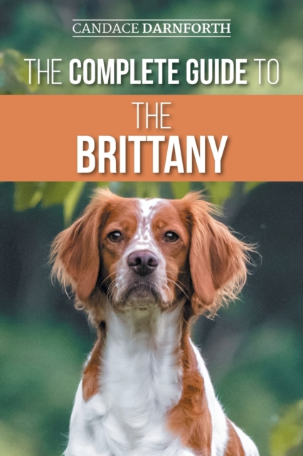 Complete Guide to the Brittany