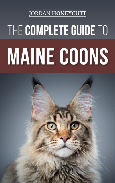 Complete Guide to Maine Coons