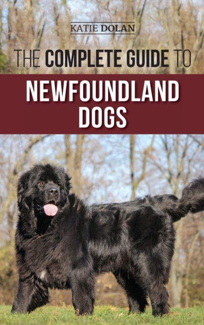 Complete Guide to Newfoundland Dogs