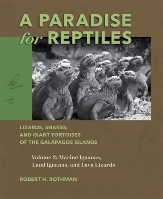 A Paradise for Reptiles