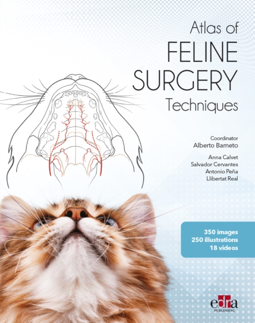 Feline surgery