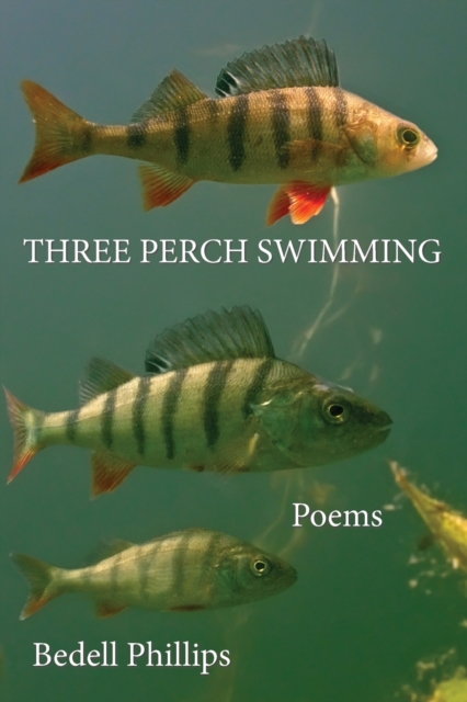 Three Perch Swimming