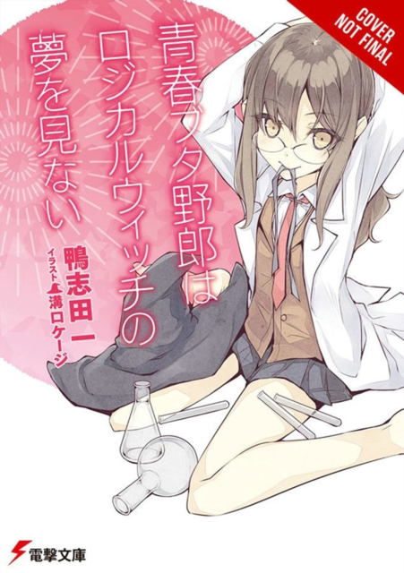 Rascal Does Not Dream of Logical Witch (light novel)