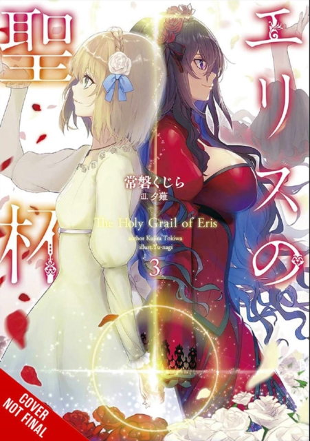 Holy Grail of Eris, Vol. 3 (light novel)