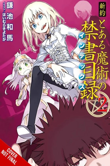 Certain Magical Index NT, Vol. 2 (light novel)