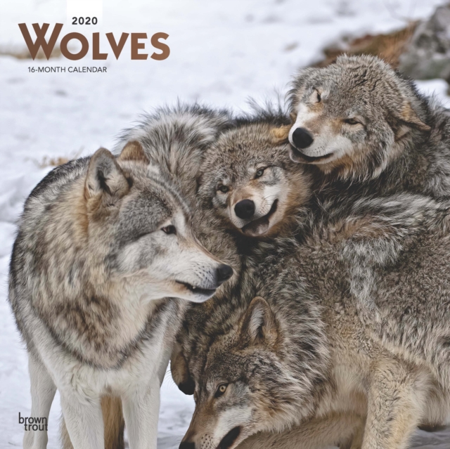 Wolves 2020 Square Wall Calendar