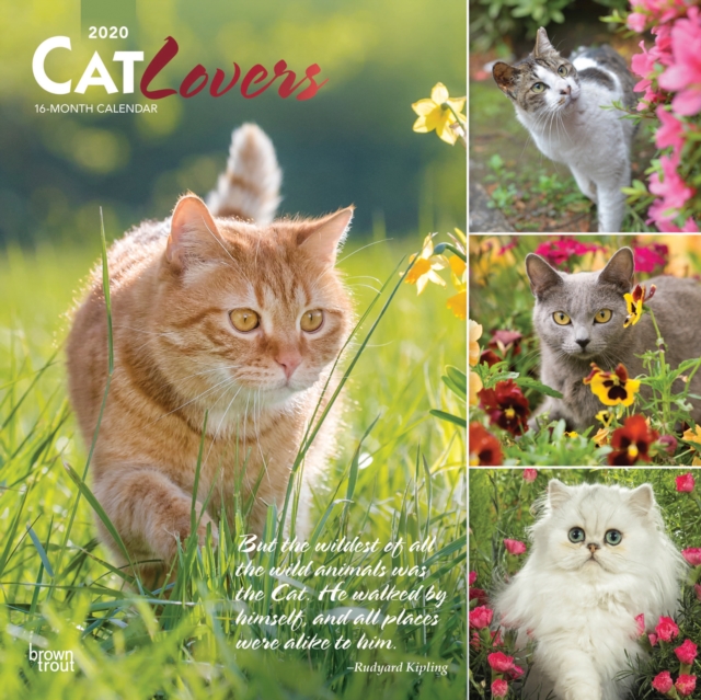Cat Lovers 2020 Square Wall Calendar
