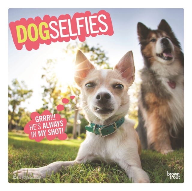 Dog Selfies 2020 Square Wall Calendar