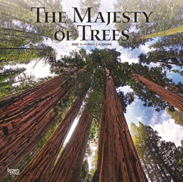 Majesty of Trees, the 2020 Square Wall Calendar