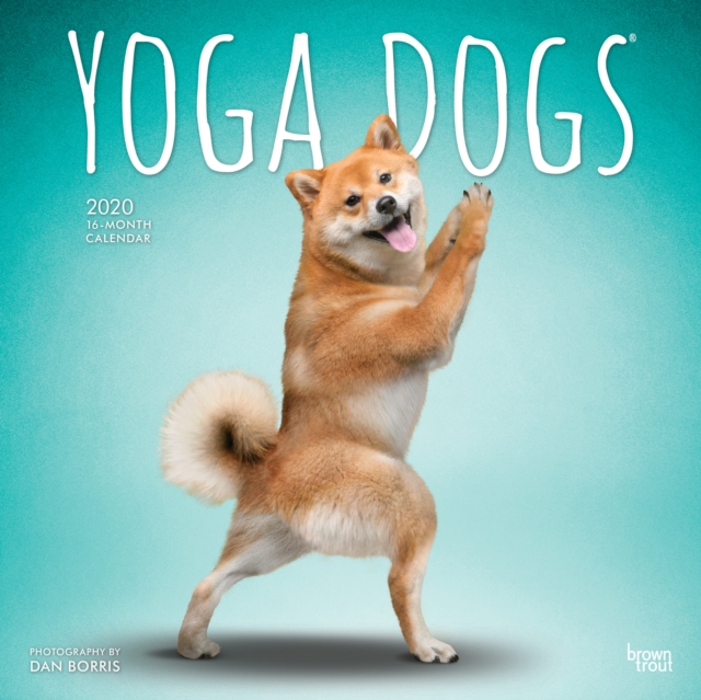 Yoga Dogs 2020 Square Wall Calendar