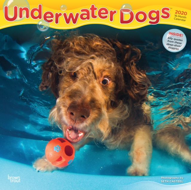 Underwater Dogs 2020 Square Wall Calendar