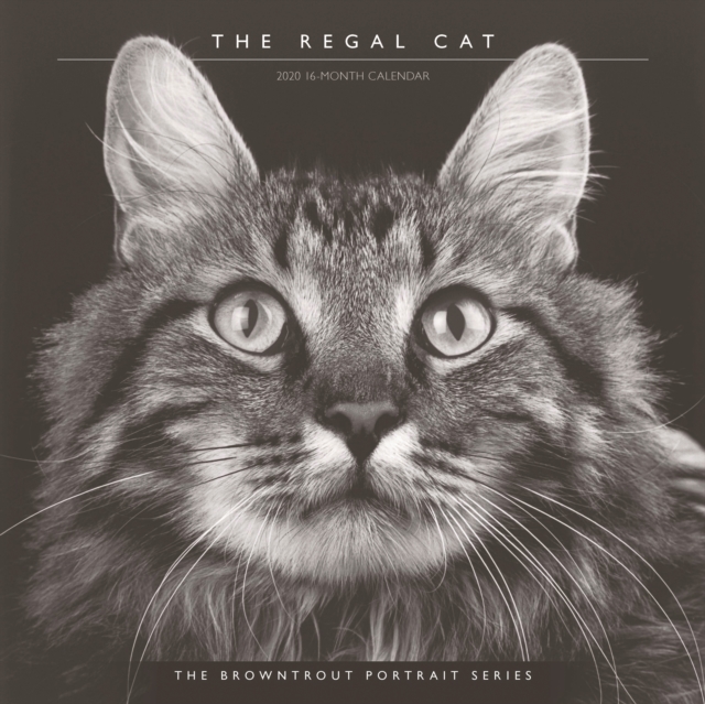 Regal Cat, the 2020 Square Wall Calendar