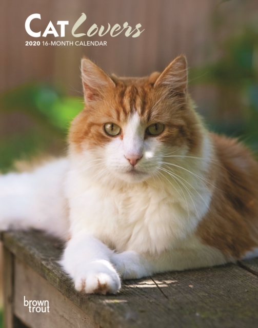 Cat Lovers 2020 Diary