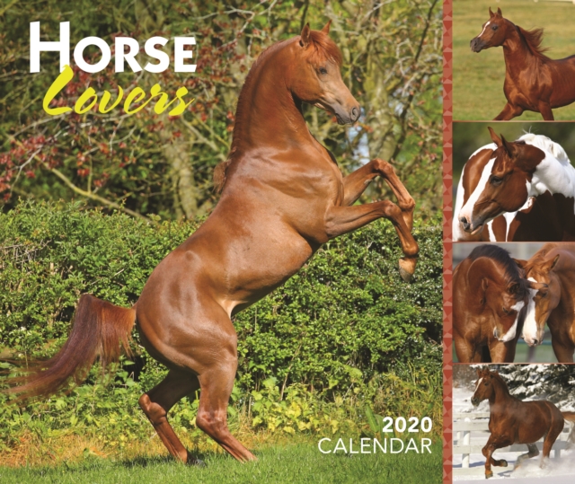 Horse Lovers 2020 Day-to-Day Calendar