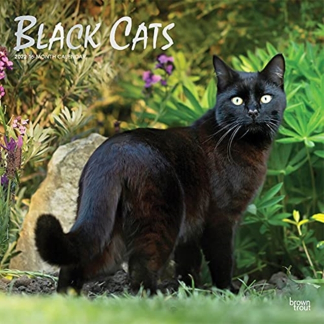 BLACK CATS 2022 SQUARE FOIL