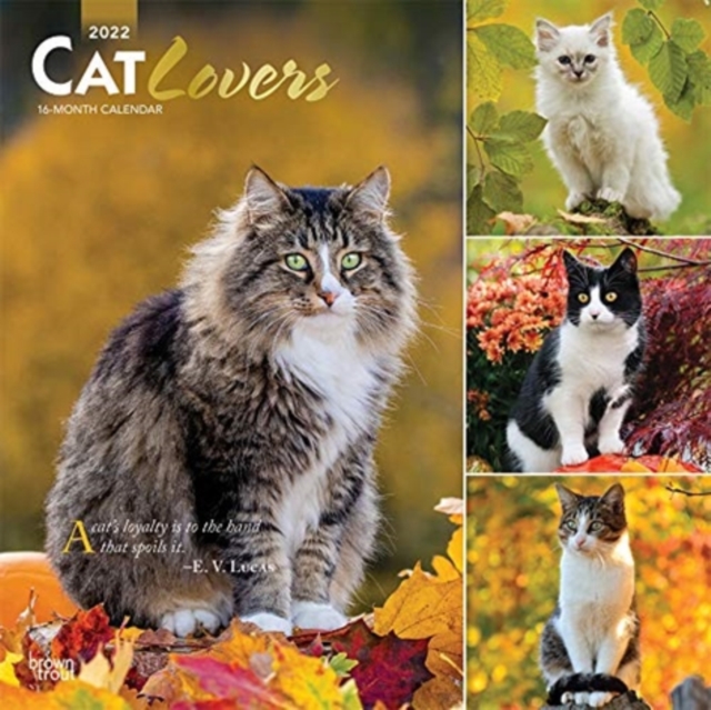 CAT LOVERS 2022 SQUARE FOIL