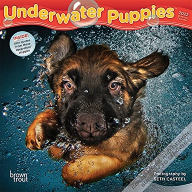 UNDERWATER PUPPIES 2022 MINI 7X7