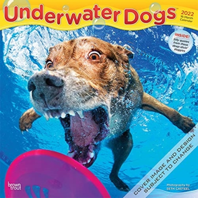 UNDERWATER DOGS 2022 SQUARE