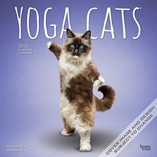 YOGA CATS 2022 SQUARE