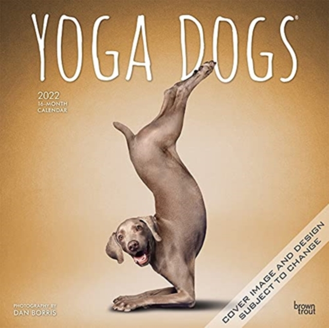 YOGA DOGS 2022 SQUARE