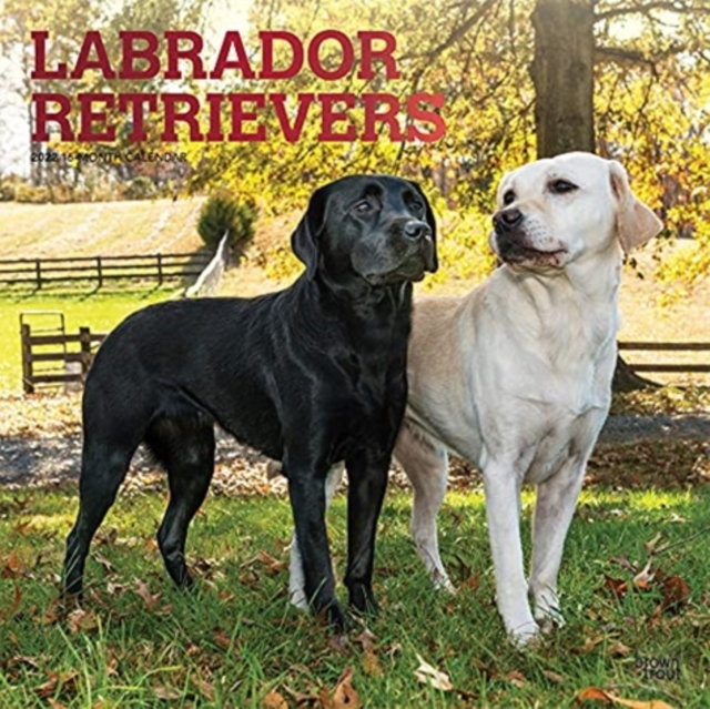 LABRADOR RETRIEVERS 2022 SQUARE FOIL