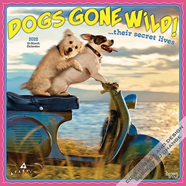 AVANTI DOGS GONE WILD 2022 SQUARE