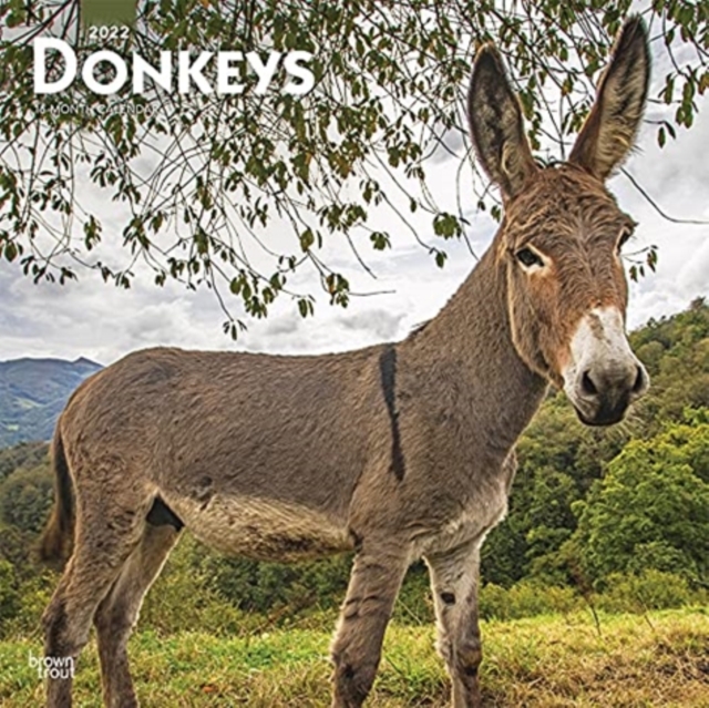 DONKEYS 2022 SQUARE