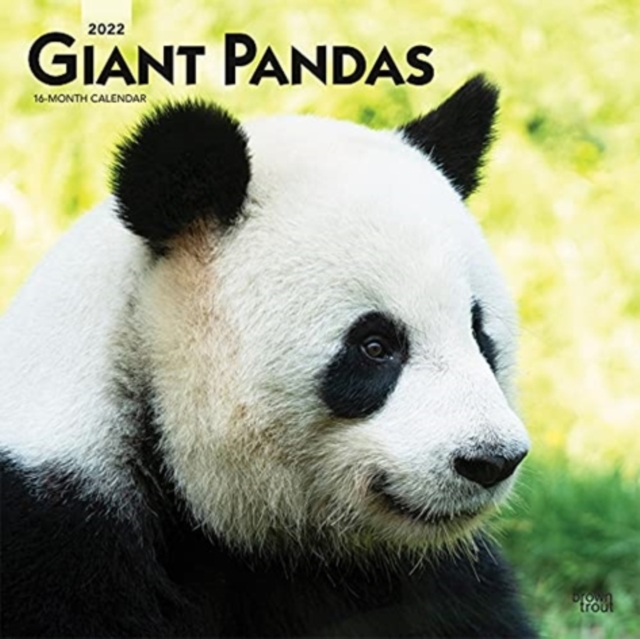 GIANT PANDAS 2022 SQUARE