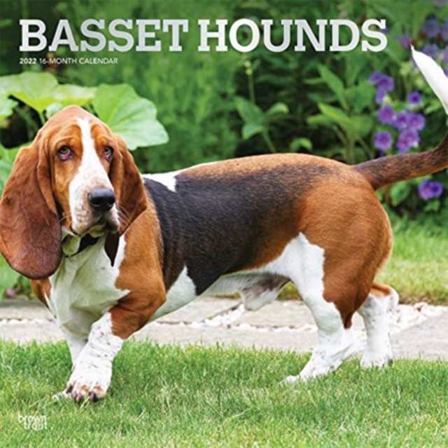 BASSET HOUNDS 2022 SQUARE FOIL