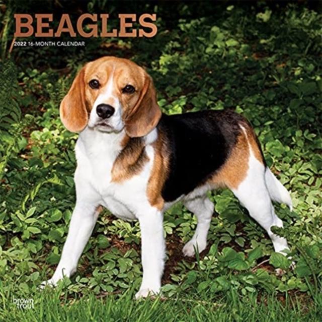 BEAGLES 2022 SQUARE FOIL