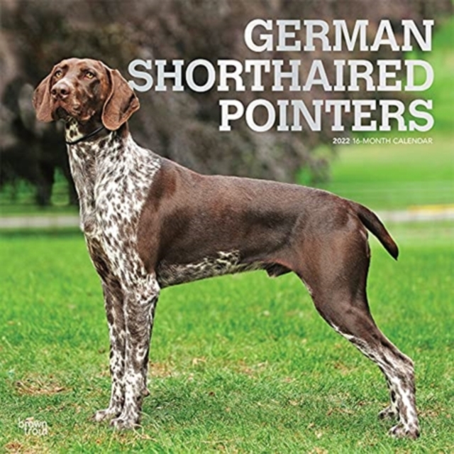 GERMAN SHORTHAIRED POINTERS 2022 SQUARE