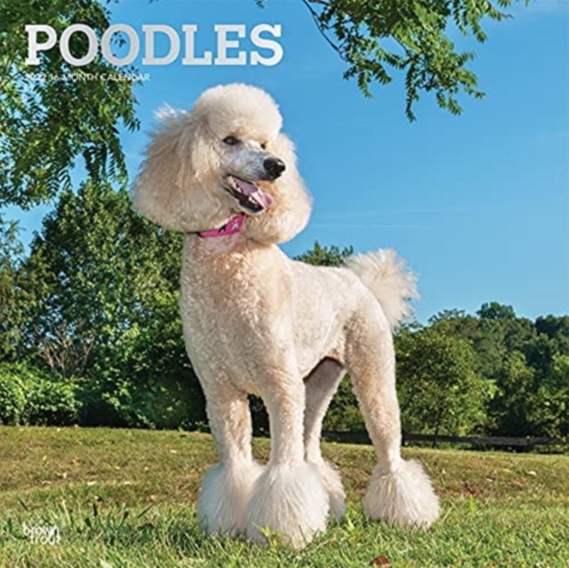 POODLES 2022 SQUARE FOIL