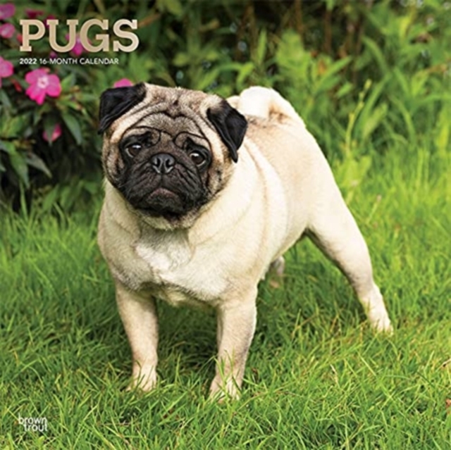 PUGS 2022 SQUARE FOIL