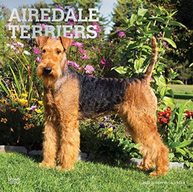 AIREDALE TERRIERS 2022 SQUARE FOIL